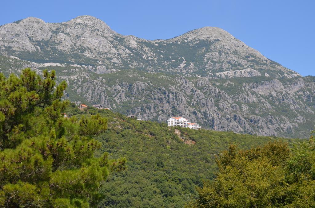 Vista Residence Herceg Novi Cameră foto